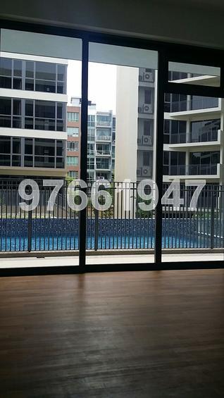 Palm Isles (D17), Condominium #124858242